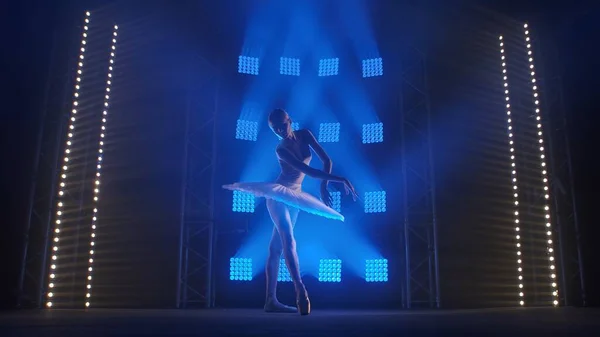 年轻的芭蕾舞演员在烟雾弥漫的背景下优雅地跳舞 聚光灯柔和的蓝光映衬下 芭蕾舞演员穿着舞服跳芭蕾 白天鹅身材苗条 美丽身材的轮廓 — 图库照片
