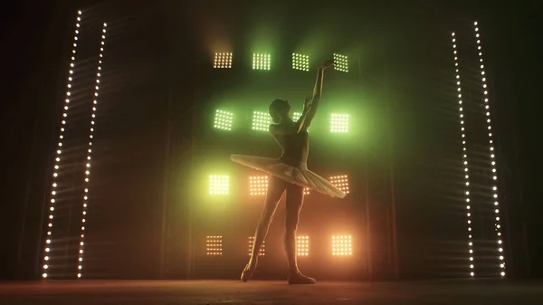 Silhouette of ballerina in form of white swan dancing ballet elements against background of smoke and spotlights with soft red green light. Woman in tutu and pointe dances gracefully in the dark