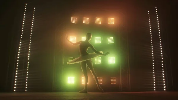 Silhouette of ballerina in form of white swan dancing ballet elements against background of smoke and spotlights with soft red green light. Woman in tutu and pointe dances gracefully in the dark