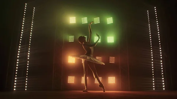 芭蕾舞演员的轮廓以白色天鹅舞蹈芭蕾舞元素的形式呈现 背景是烟雾弥漫 聚光灯柔和的红绿灯 穿着燕尾服的女人在黑暗中优雅地跳舞 — 图库照片