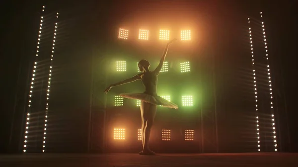 年轻的芭蕾舞舞蹈演员在烟雾弥漫的背景下优雅地跳舞 灯光柔和的红绿灯映衬着聚光灯 芭蕾舞演员穿着舞服跳芭蕾 一个漂亮瘦小的白种人的轮廓 — 图库照片