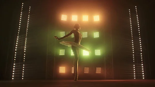 Giovane Ballerina Danzante Con Grazia Ballando Sullo Sfondo Fumo Riflettori — Foto Stock