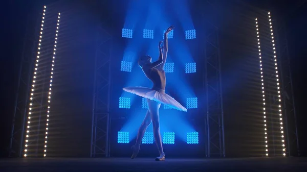 灵活的年轻芭蕾舞演员正在排练白天鹅的一部分 女人表演经典的芭蕾 手部动作平稳 蓝色聚光灯中心黑暗工作室烟熏背景的轮廓 — 图库照片