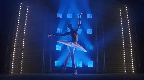 Flexibel Ung Ballerina Repeterar Del Den Vita Svanen Kvinnan Utför — Stockfoto