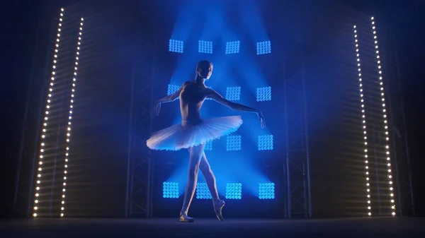 Theatrical ballet performance performed by young ballet dancer in white tutu and pointe shoes. Silhouette of young slender woman dancing gracefully against backdrop of smoke and spotlights with soft