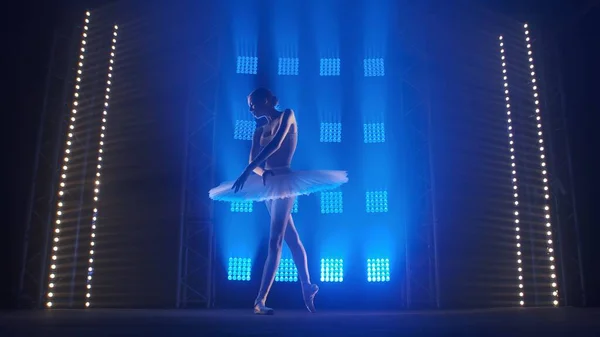 煙を背景にした古典的なバレエ振付の要素と柔らかい青の光を持つスポットライト チュチュとポイントの靴で劇場の舞台で踊る若い女性のバレリーナのシルエット — ストック写真