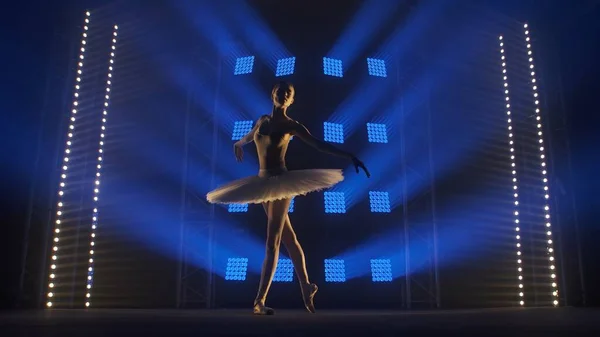 煙を背景にした古典的なバレエ振付の要素と柔らかい青の光を持つスポットライト チュチュとポイントの靴で劇場の舞台で踊る若い女性のバレリーナのシルエット — ストック写真