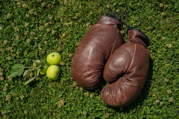 Stare Brązowe Skórzane Rękawice Bokserskie Leżące Zielonej Trawie Obok Jabłek — Zdjęcie stockowe