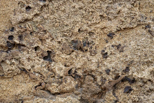Ściana Pokryta Jest Dekoracyjnymi Marmurowymi Okruszkami Białe Szare Brązowe Marmurowe — Zdjęcie stockowe