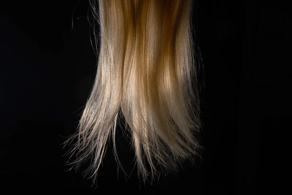 Φυσική Μπούκλα Από Λευκά Μαλλιά Φωτισμένη Μαύρο Απομονωμένο Φόντο Στούντιο — Φωτογραφία Αρχείου