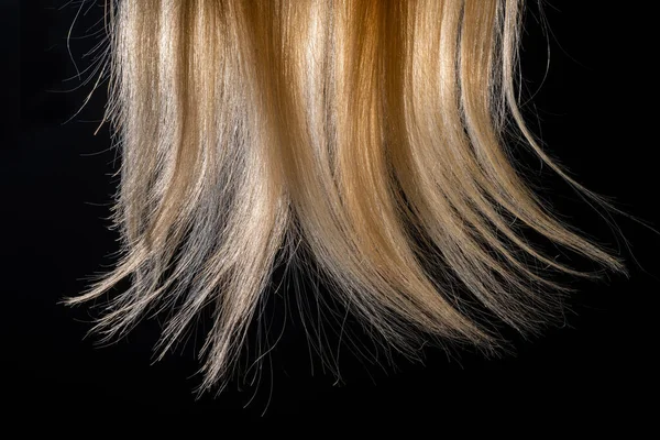 Boucle Naturelle Cheveux Blancs Éclairée Sur Fond Studio Isolé Noir — Photo