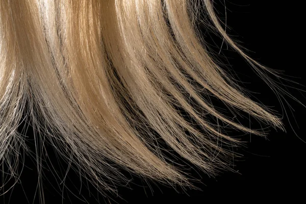 Естественная Завивка Белых Волос Освещенных Черном Изолированном Фоне Студии Советы — стоковое фото
