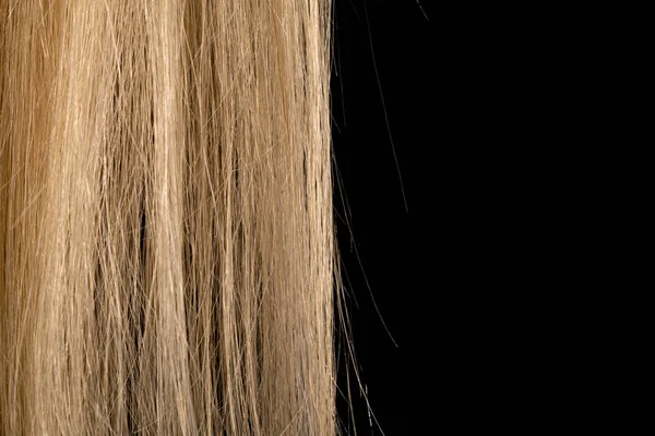 빛으로 빛나는 머리카락의 일부이다 끈같은 여성의 머리카락 스튜디오 배경에 가발이야 — 스톡 사진