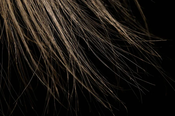 Макро Вистрілив Біле Довге Гладке Жіноче Волосся Світло Чорному Ізольованому — стокове фото