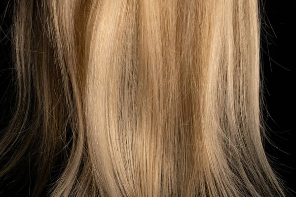 ライトで照らされたブロンドの光沢のある髪の一部 軽い女性の髪の帯 黒の隔離されたスタジオの背景に健康な自然な女性の髪のヒント 合成ウィッグ 長い滑らかなロックのマクロショット — ストック写真