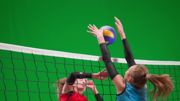 Дві Молоді Жінки Спортивному Одязі Грають Волейбол Зеленому Екрані Жінка — стокове відео