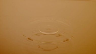 Kahverengi sıvı yüzeye düşen bir damla suyun makro çekimi su halkaları ve dalgalar oluşturur. Su yüzeyine damlayan bir damla, su, meyve suyu ya da yağ ve farklı halkalar.