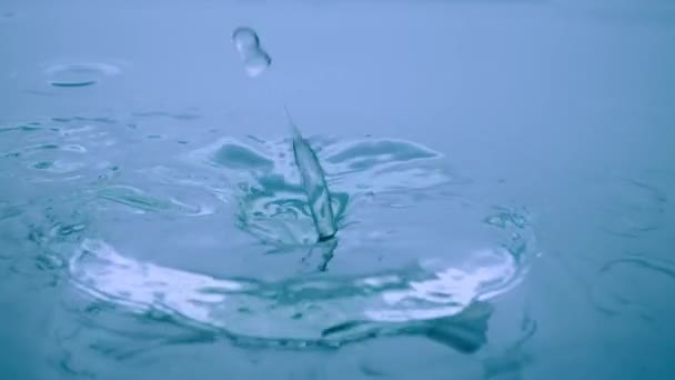 Макрознімок Крапель Води Падає Синю Рідку Поверхню Створюючи Водяні Кільця — стокове відео