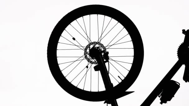 Black Silhouette Bicycle Wheel Spinning White Isolated Background Close Bike — Stock Video
