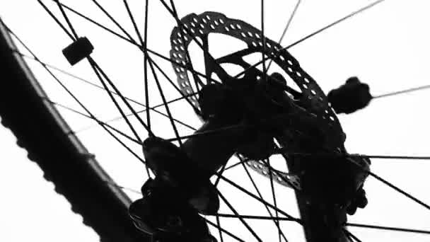 Silhouette Nera Una Ruota Bicicletta Che Gira Uno Sfondo Bianco — Video Stock