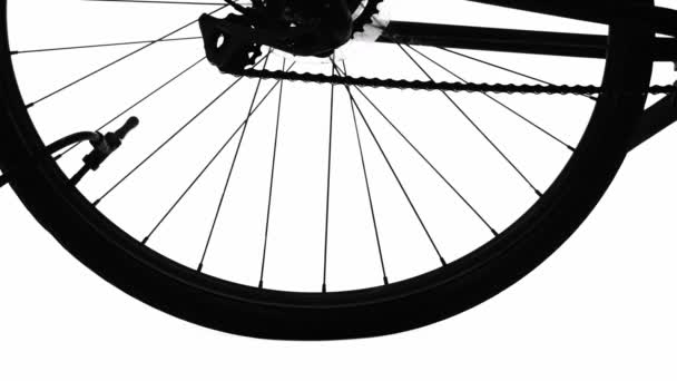 펌프를 사용하여 자전거 타이어 부풀리는 것이다 공기가 바퀴의 실루엣을 가까이 — 비디오
