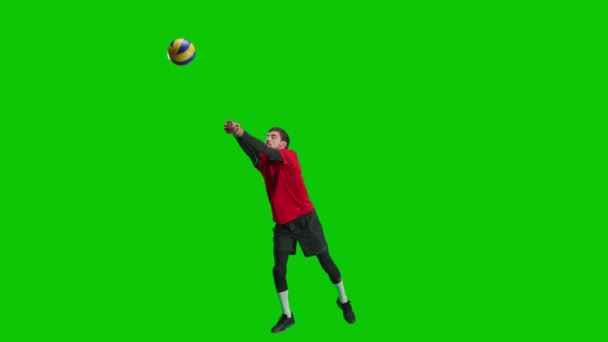 Atleta Practicando Habilidades Voleibol Golpeando Pelota Con Las Manos Jugador — Vídeos de Stock