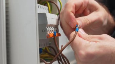 Bir elektrikçi mavi çalı gelincik kurallarını kablolara takıyor ve onları kıskaçlıyor. Santraldeki yüksek voltajlı elektrik düğmelerini tamir eden bir adamın elini kapatın. Otomatik sigorta ve kablolarla kutucuğu değiştir