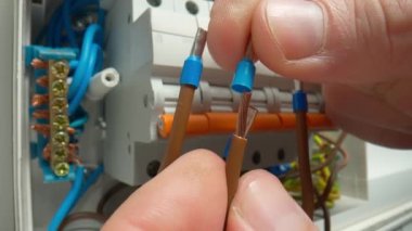 Bir elektrikçi mavi çalı gelincik kurallarını kablolara takıyor ve onları kıskaçlıyor. Makro çekimde, bir santraldeki yüksek voltajlı elektrik düğmelerini tamir ederken çekilmiş. Otomatik sigorta ve kablolarla kutucuğu değiştir
