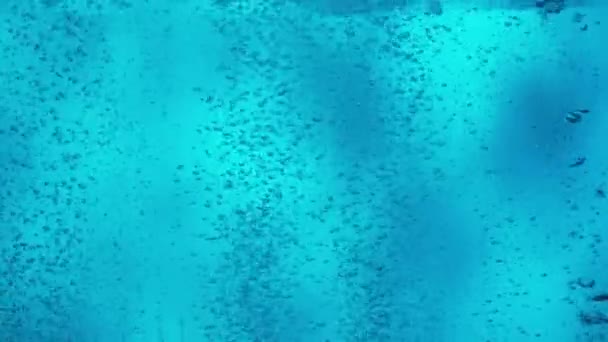 Bir Sürü Küçük Parlak Hava Kabarcıkları Mavi Arka Planda Aşağıdan — Stok video