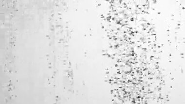 Aşağıdan yüzeye beyaz izole edilmiş arka planda bir sürü küçük siyah hava kabarcığı yükseliyor. Oksijen baloncuklarının suyun altından yukarı doğru akışını kapatın. Sıvının havalanması veya filtrelenmesi. Fizzy akışı