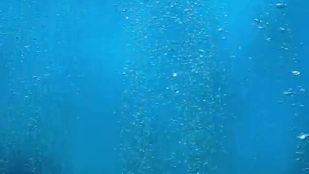 Mavi Arka Planda Suyun Altında Yükselen Hava Kabarcıkları Mavi Okyanustaki — Stok video