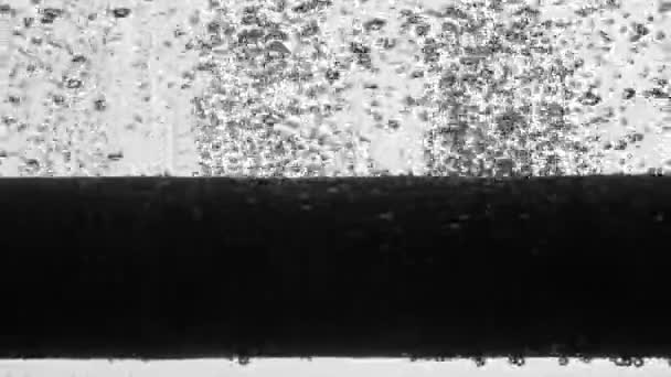 Dunkle Luftblasen Die Aus Schwarzen Porösen Paralonröhren Von Kompressor Belüfter — Stockvideo