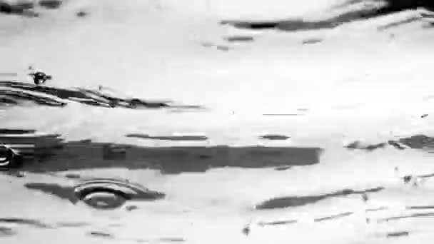 Podwodny Widok Pęcherzyków Powietrza Wznoszących Się Powierzchnię Wody Białym Tle — Wideo stockowe