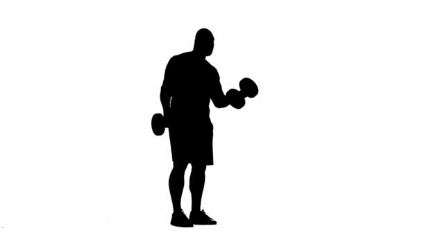 肌肉男人用哑铃抽动手臂的黑色轮廓 健美运动员锻炼肌肉二头肌 三头肌和肩部 力量训练 白色举重或交叉组合运动 — 图库视频影像