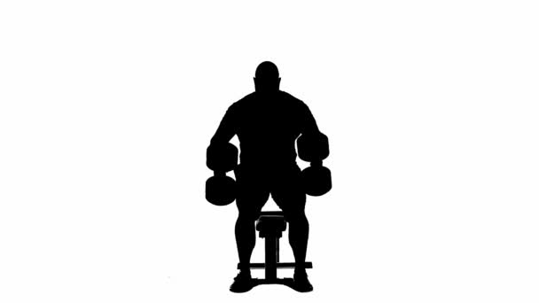 Silhueta Preta Homem Musculoso Sentado Banco Esportes Levantando Grandes Halteres — Vídeo de Stock