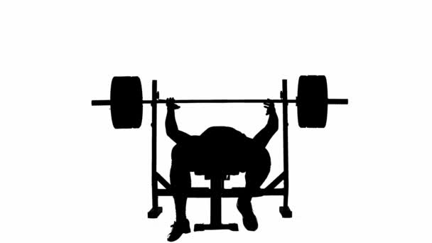 Black Silhouette Muscular Man Lying Sports Bench Lifting Barbell Large — Stock Video