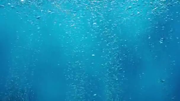 Много Маленьких Блестящих Пузырьков Воздуха Поднимающихся Дна Поверхность Голубом Фоне — стоковое видео