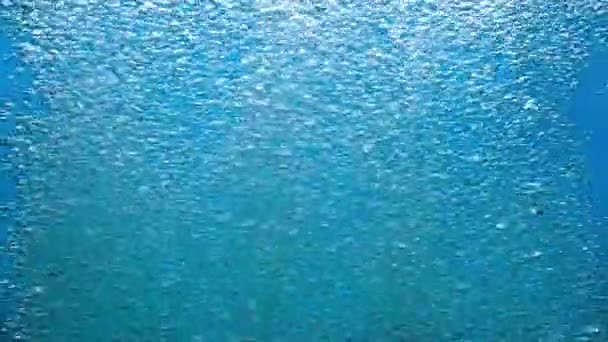 Shiny Air Bubbles Underwater Rising Bottom Surface Illuminated Rays Light — Stock Video