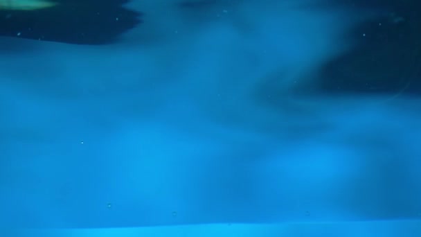 蓝色水面上有波纹和波纹 有暗色的光和反光 水波作用下的光滑液体表面宏观射孔 水的表面有裂痕 振动器 — 图库视频影像