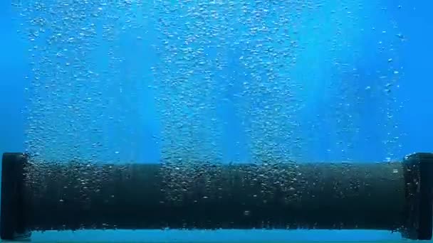 Lote Pequeñas Burbujas Aire Brillante Que Escapan Del Tubo Del — Vídeos de Stock