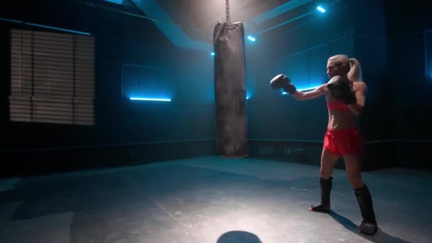 ボクシンググローブの若い女性キックボクサーは彼女の手でパンチバッグをパンチする準備ができて取得します 青い光で暗いジムで訓練する前にウォーミングアップ女性戦闘機 スポーツの概念 健康的な活動 — ストック動画