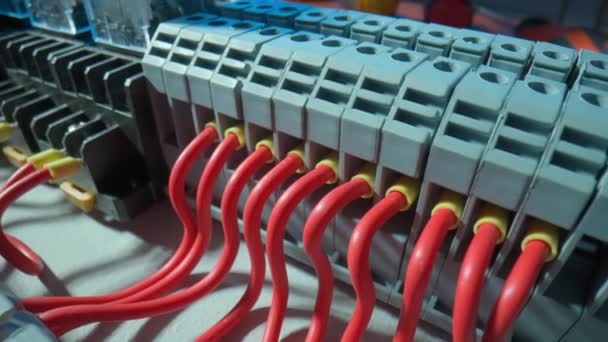 Gray Plastic Electrical Panel Many Red Wires Yellow Bushing Ferrules — Video Stock