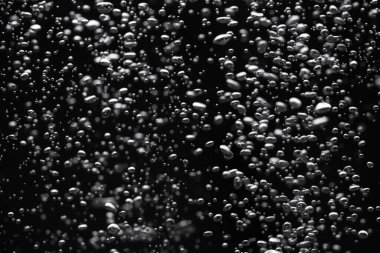 A lot of shiny air bubbles of different sizes underwater on a black isolated background. Close up of light lit oxygen bubbles flow upwards. Aeration or filtration of liquid. Fizzy flow of air bubbles