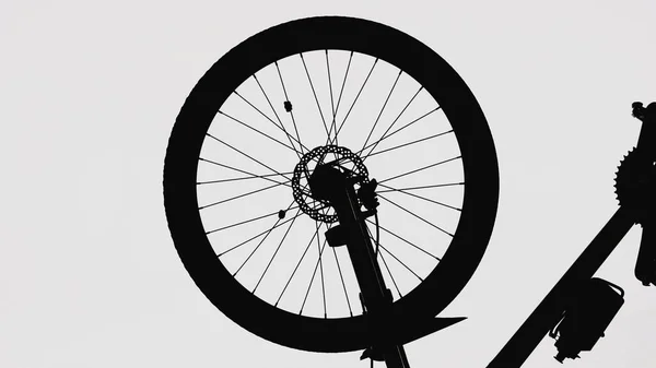 Black Silhouette Bicycle Wheel White Isolated Background Close Bike Wheel — Stock Photo, Image
