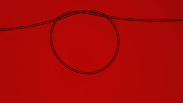 Hair that is tied into a round loop on a red background. Macro shot of a thin even hair tied into a knot and forming a circle. Texture of human hair. Thread, string, hair under a microscope or
