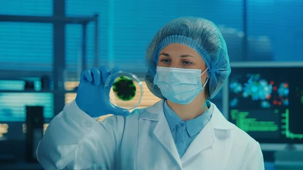 과학자가 페트리 접시를 검사한다 마스크 푸른색 보닛을 여자가 바이러스 박테리아 — 스톡 사진