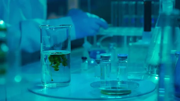 The green powder dissolves and spreads in a cloud in a glass flask with a clear liquid. Chemical reaction. Chemical reaction. Vials with vaccines and test tubes on the table. Biochemical research