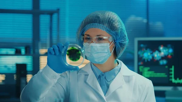 一位女科学家用斑点绿色样本检查了一个培养皿 头戴白色长袍 护目镜 蓝色手套和帽子的女人检查病毒或细菌的孢子 一个研究人员在 — 图库照片