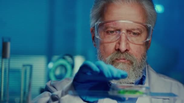 一位年长的男医生用绿色培养的细菌样本对培养皿进行检查 身穿白色医疗服的老年男性科学家 穿着带蓝光的实验室护目镜 靠近点 — 图库视频影像