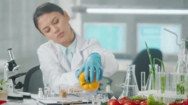 Asyalı kadın araştırmacı sarı tatlı biberi inceliyor, onaylamayan bir şekilde kafasını sallıyor ve notlar alıyor. Mikrobiyolog ürünlerin kalitesini analiz eder. Sebze araştırması, genetik modifikasyon